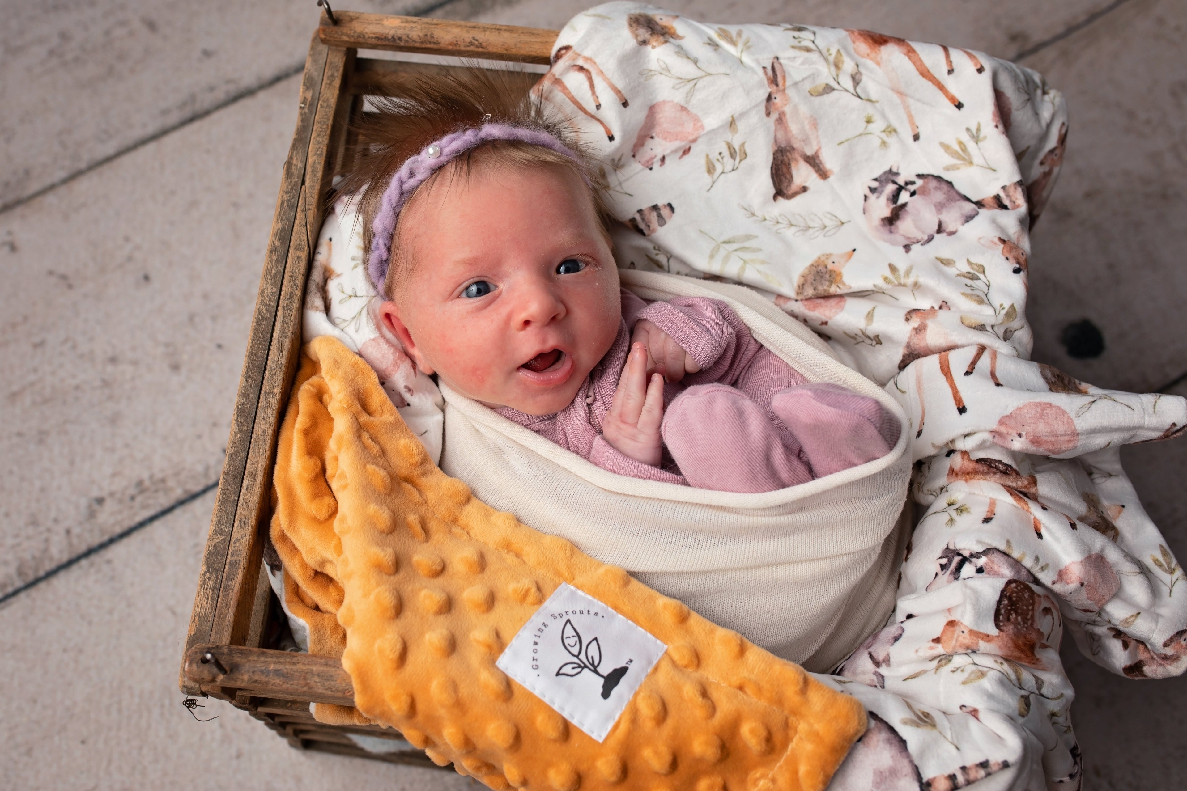 Forest Friends Minky Blanket - Riot Co.