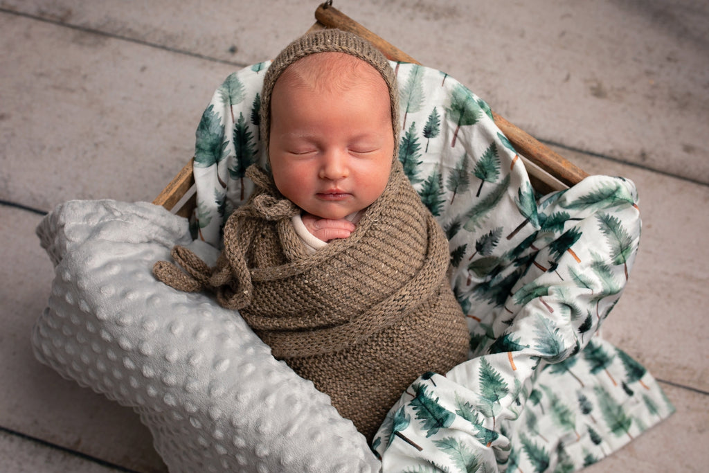 Woodland Whispers Minky Blanket - Riot Co.